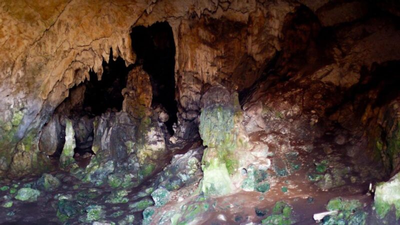 VIP Day Tour From Athens: Delphi & Nymphs Cave TREK - Ancient Trail Trek