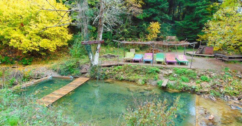 VIP Day Tour From Athens: Pavliani Forest Park TREK - Trekking Through Forested Mountain Slopes