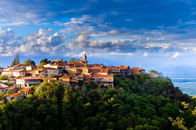 VIP DAY TRIP to Kakheti-Sighnaghi - BODBEH With WINE Tasting - Key Points