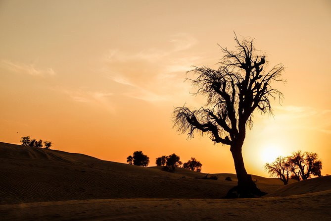 VIP Evening Desert Safari, Camel Ride, Dune Bashing, Sand Boarding, Exclusive - Amenities and Services