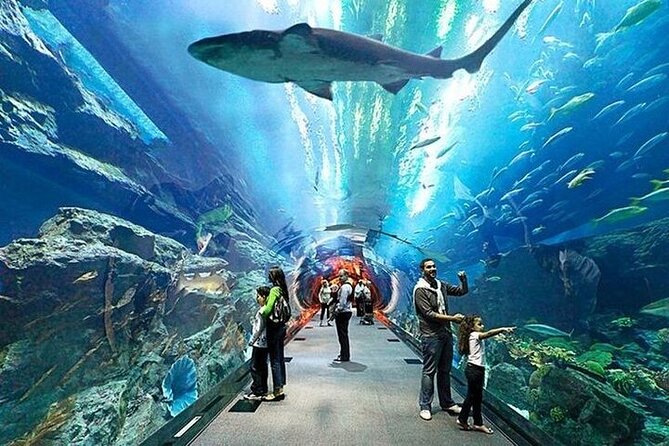 VIP Experience Dubai Aquarium & Underwater Zoo-As per Selection - Visitor Accommodations