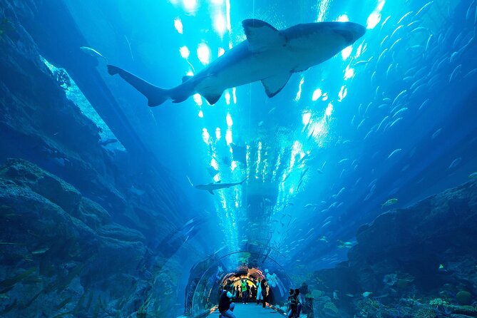 VIP Experience Dubai Aquarium & Underwater Zoo-As per Selection - Pricing and Booking