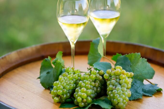 VIP Experience to Lake Iseo and Franciacorta Wine Tasting - Tour Inclusions