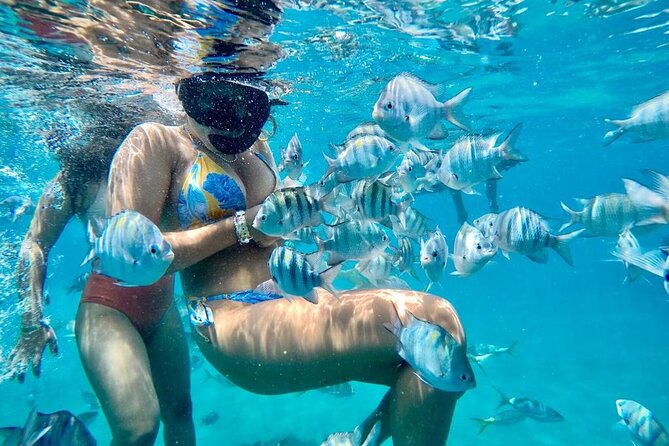 VIP Fascinating Boat Ride & Snorkeling at Sosua Bay - Customer Feedback