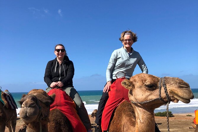 Vip Full Day Private Tangier Tour From Malaga All Inclusive - Camel Ride Experience