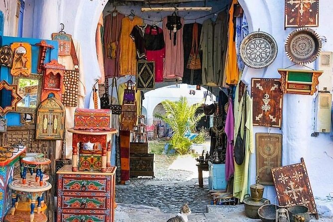 Vip Full Day Private Tangier Tour From Malaga All Inclusive - Accessibility and Tour Accommodations