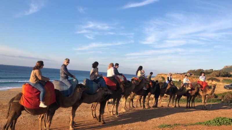 Vip Full Day Private Tangier Tour From Malaga All Inclusive - Transportation