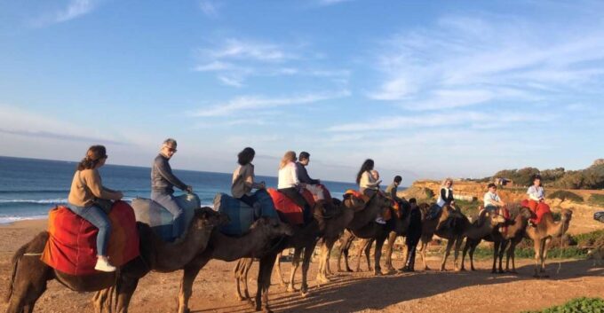 Vip Full Day Private Tangier Tour From Malaga All Inclusive - Included Amenities