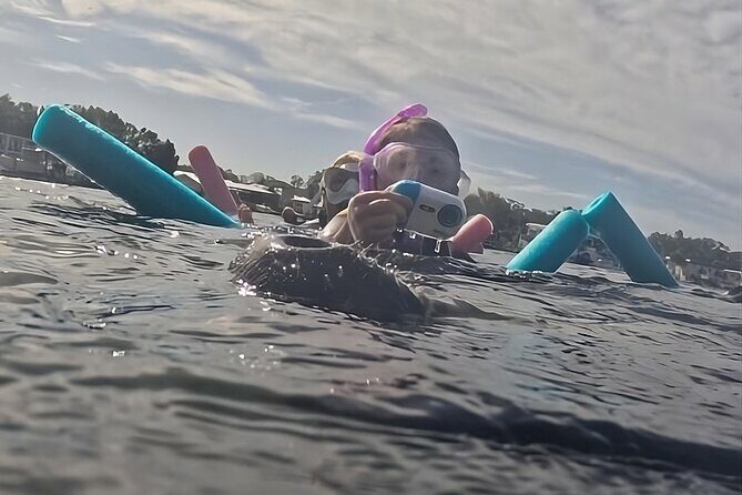 VIP Guided Swim with Manatee Tour Crystal River FL Free Photos - The Snorkeling and Wildlife Encounter