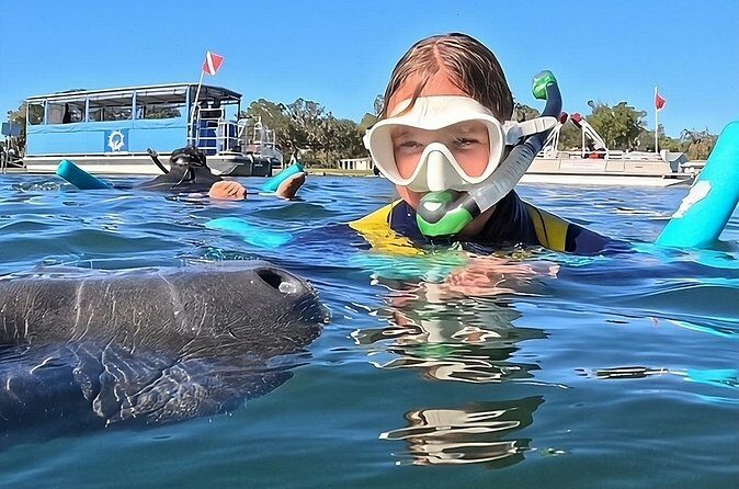 VIP Guided Swim with Manatee Tour Crystal River FL Free Photos - What Past Participants Say