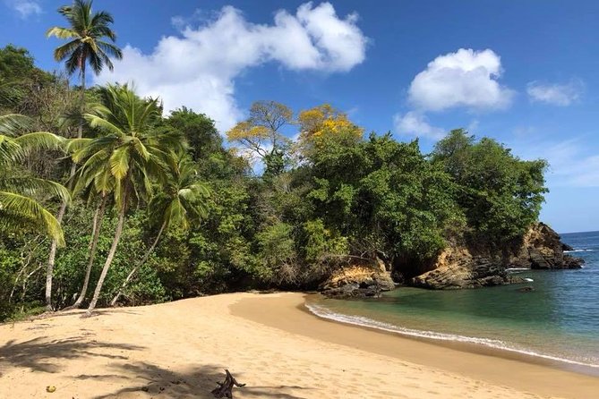 VIP Inclusive Private Tour of Island (Lunch, Drinks + Snorkeling) - Tour Accessibility