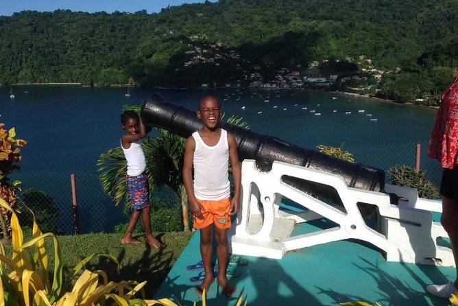 VIP Inclusive Private Tour of Island (Lunch, Drinks + Snorkeling) - Review Highlights