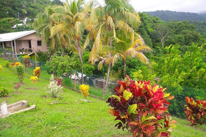 VIP Inclusive Private Tour of Island (Lunch, Drinks + Snorkeling) - Authentic Caribbean Cuisine