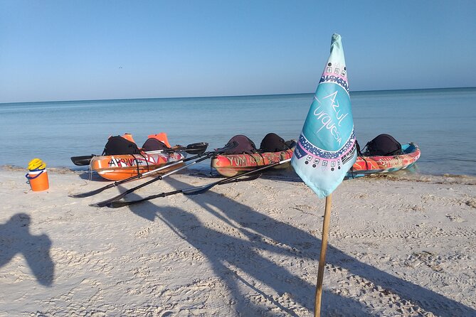 VIP Kayak Experience in the Mangroves of Holbox - Wildlife Sightings