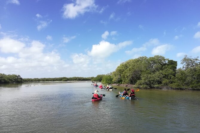 VIP Kayak Experience in the Mangroves of Holbox - Memorable Customer Experiences