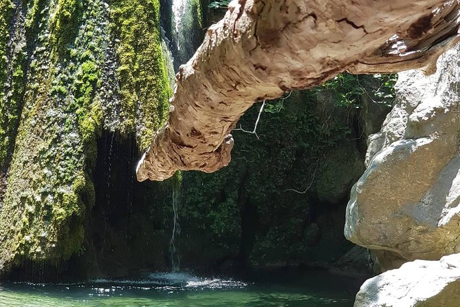 VIP Luxury Private Tour- Half Day - 4x4 Excursion With Land Rover - Inclusions and Logistics