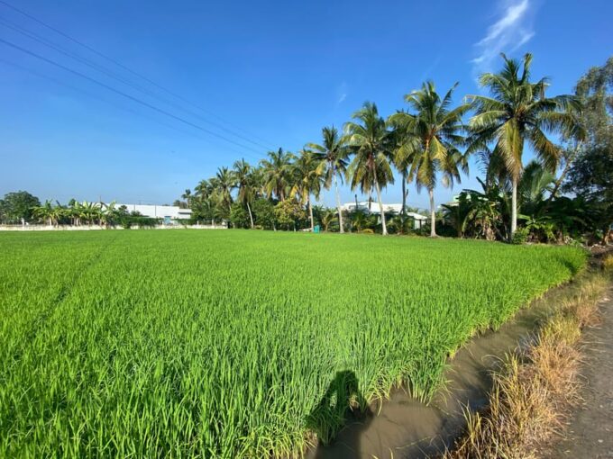 Vip Mekong Delta Tour 1day Cycling-Kayak Cooking Group 8pax - Excluded Services