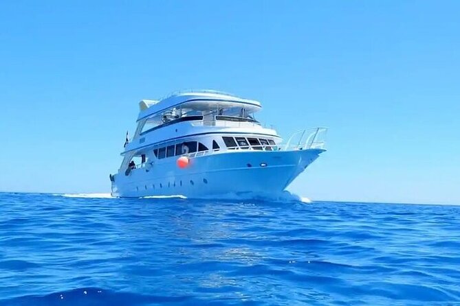 ViP Orange Bay Giftun Island By Sea Trip With Lunch in Hurghada - Contact and Booking Information