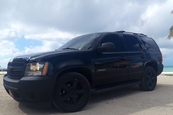 VIP Private Airport Transfer Roundtrip - Drivers and Transportation Amenities