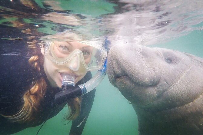 VIP Private Boat Manatee Snorkel Tour With In-Water Guide and Photograper - Inclusion Details