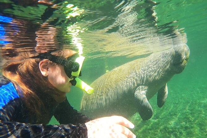 VIP Private Boat Manatee Snorkel Tour With In-Water Guide and Photograper - Accessibility Information