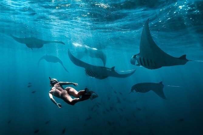 VIP Private Boat to Nusa Penida: Snorkeling With Mantas + Land Tour Adventure - Crystal Bay