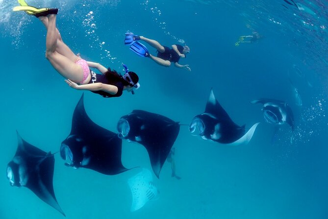VIP Private Boat to Nusa Penida: Snorkeling With Mantas + Land Tour Adventure - Reviews and Feedback