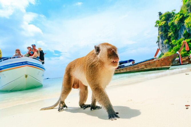 VIP Private Boat to Phi Phi Island: Snorkeling + Land Tour - Guest Experiences