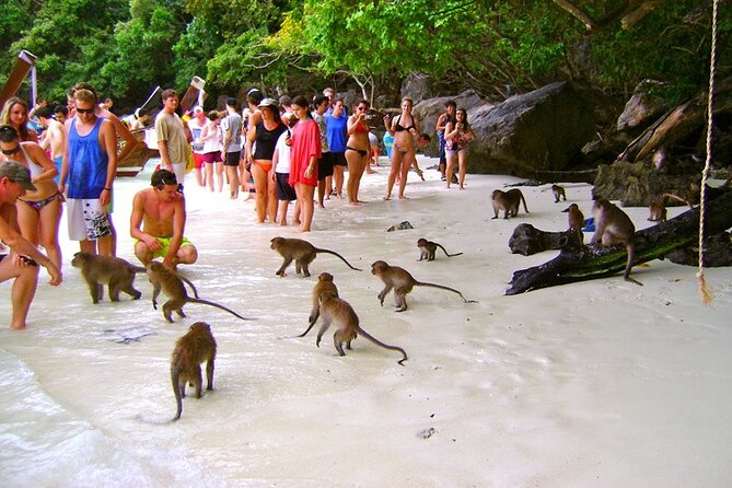 VIP Private Boat to Phi Phi Island: Snorkeling + Land Tour - Private Boat Experience