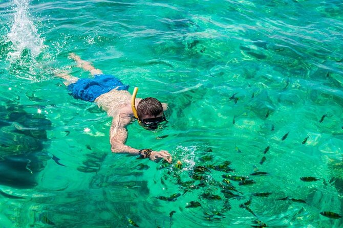 VIP Private Boat to Phi Phi Island: Snorkeling + Land Tour - Snorkeling Adventure