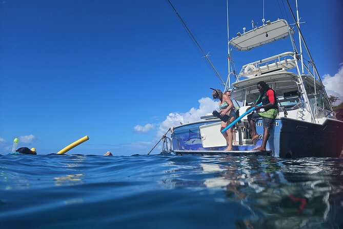 VIP Private Guided Scuba Diving/Snorkeling Excursion - Private Tour and Group Size