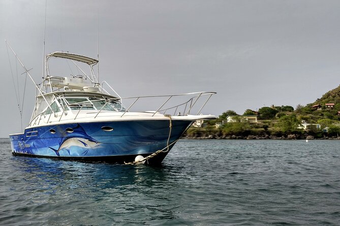 VIP Private Guided Scuba Diving/Snorkeling Excursion - Booking Flexibility and Confirmation