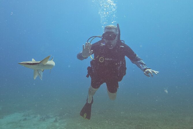 VIP Private Guided Scuba Diving/Snorkeling Excursion - About SoulScuba Yoga and Diving