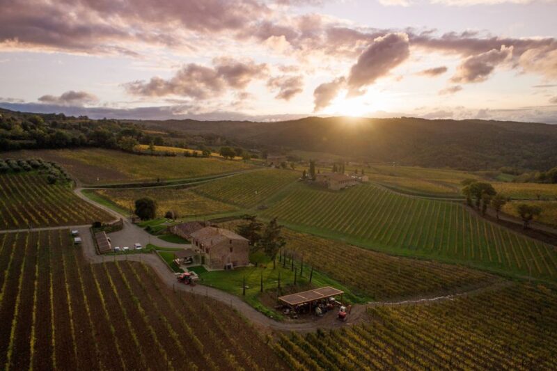 VIP Private Montalcino Wine Tasting in Paradiso With Dinner - Vineyard and Winery Tour