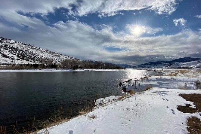 VIP Private North Yellowstone National Park Winter Excursion - Traveler Testimonials and Feedback