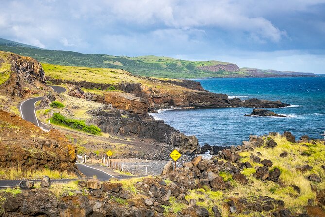 VIP Private Road to Hana Tour in Cadillac Escalade With Pickup - Addressing Mixed Feedback
