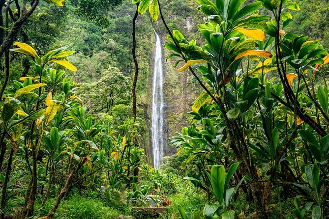 VIP Private Road to Hana Tour With Pick up - Family-Friendly Tour