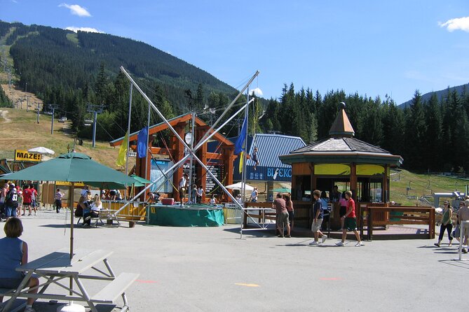 VIP Private Sedan Transfer Whistler BC to Vancouver Intl. Airport - Tour Details