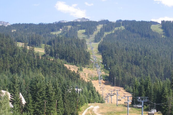 VIP Private Sedan Transfer Whistler BC to Vancouver Intl. Airport - Cancellation Policy