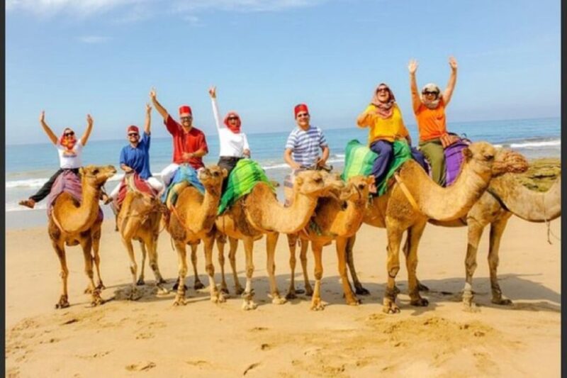 Vip Private Tangier Tour From Marbella With Ali All Included - Tangier Sightseeing