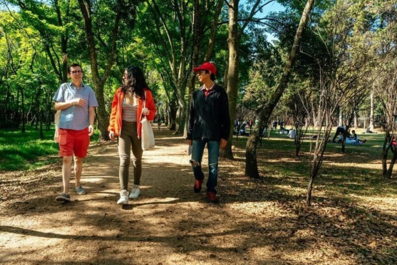 VIP Private Tour Mexico City Half Day - Best Rated - Tour Highlights and Experience