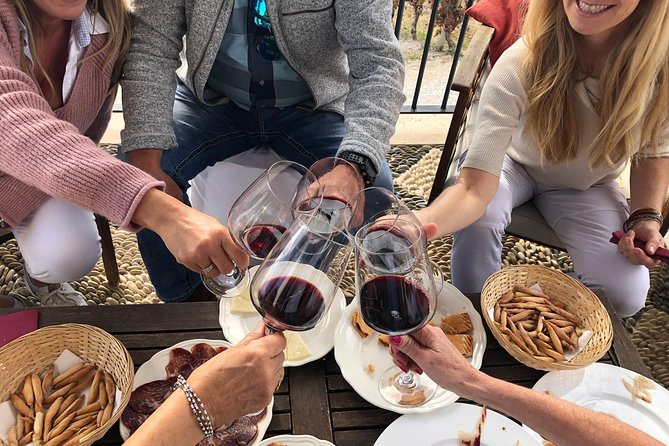 VIP Ronda Wine Tour and Tasting and Gourmet Lunch Experience With Winemaker - Key Points
