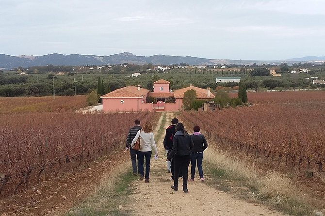 VIP Ronda Wine Tour and Tasting and Gourmet Lunch Experience With Winemaker - Pickup and Logistics
