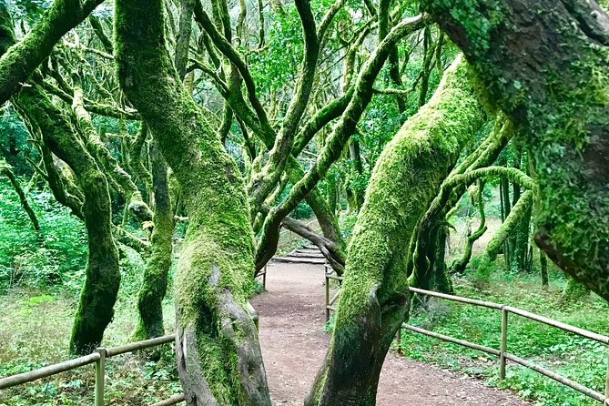 VIP Route Through La Gomera - Pickup Information and Requirements