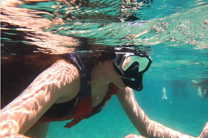 VIP San Juan: Snorkeling Tour with Turtles with Free Videos - What the Reviews Reveal: Authentic Perspectives