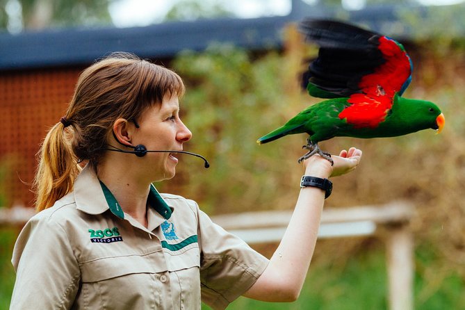 VIP Sanctuary Tour at Healesville Sanctuary - Excl. Entry - Reviews