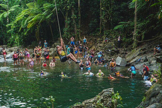VIP Small Group El Yunque Rainforest Adventure - What to Expect from This El Yunque Adventure