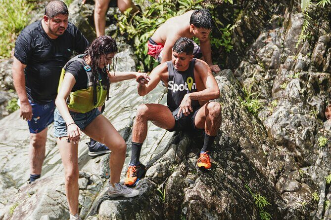VIP Small Group El Yunque Rainforest Adventure - Authentic Experiences and Reviewer Insights
