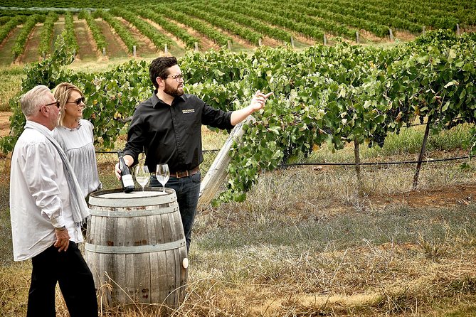 VIP Soil-To-Cellar Experience - Tasting Room Oysters
