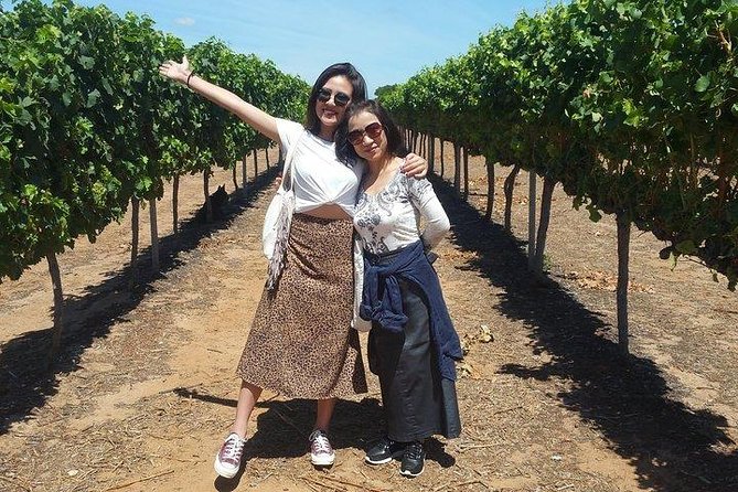 VIP Swan Valley Wine Tour - Premium Small Group Wine & Gourmet Experience - Pickup and Transportation
